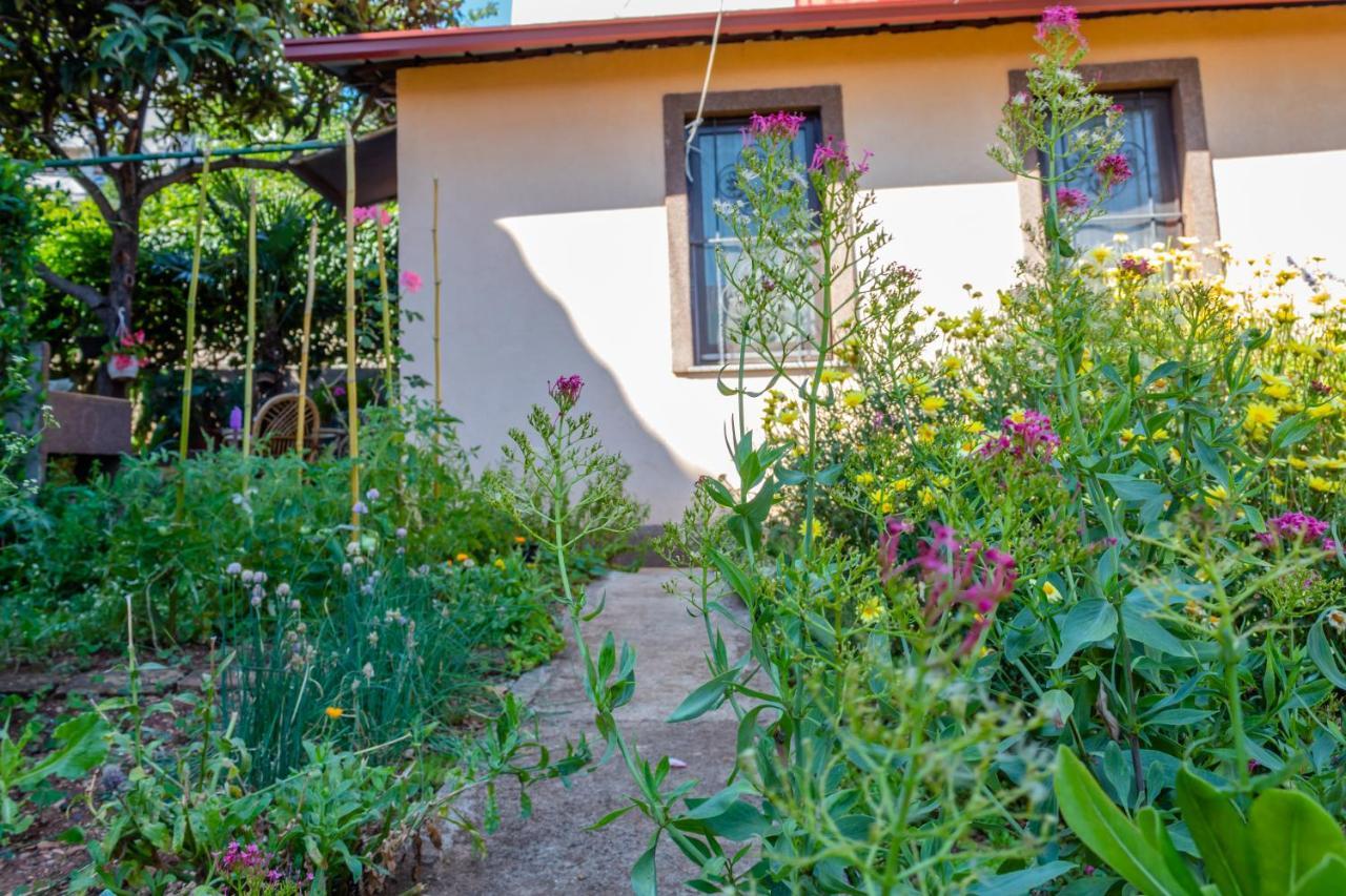 リエカ Little Garden Houseヴィラ エクステリア 写真
